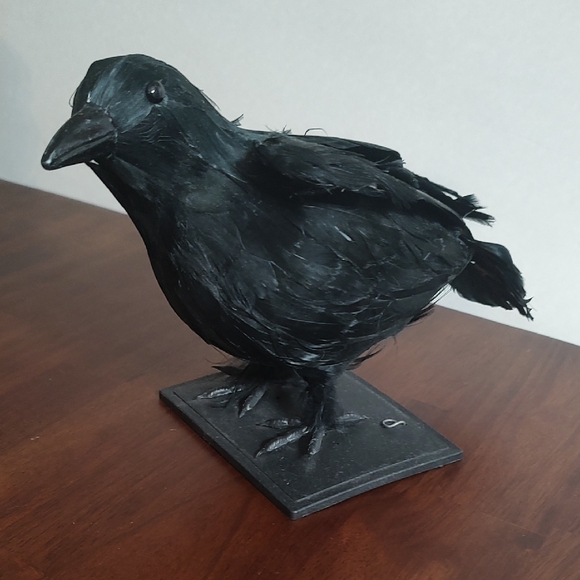 Vintage Other - Black Raven Crow Sculpture Real Feathers Bird Halloween Decor Movie Set Prop
